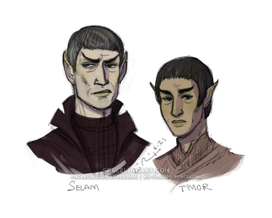 Illustration of a middle-aged vulcan couple.
